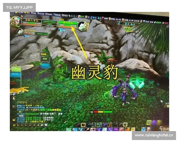 猎人灵魂兽：天赋技能之道