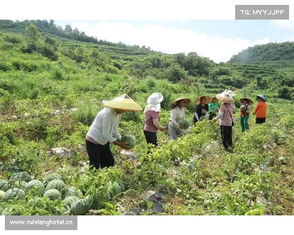 种植任务攻略;种花任务：蔬果种植全攻略：从播种到丰收